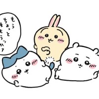 ちゃすꕤ︎︎·͜·