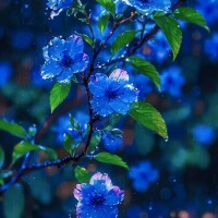 お疲れ様でした🌃