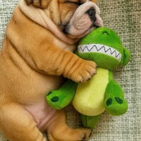 本日の出勤です