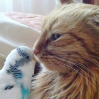 出勤しました🌟