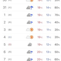 おやすみなさい