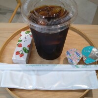 隅田川桜まつり🌸