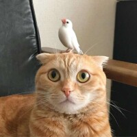 出勤してます😹