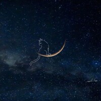 ありがとうございました🎶