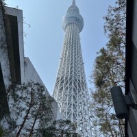 おやすみなさい