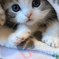 ✨おはようございます✨