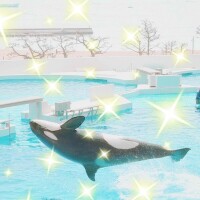 ᴳᴼᴼᴰ ᴹᴼᴿᴺᴵᴺᴳ ☀︎.°
