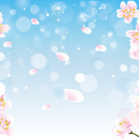 ✨出勤しました✨