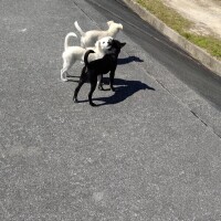 出勤しております🌨