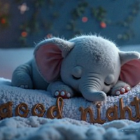 おやすみなさい😴