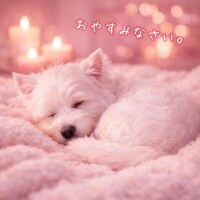 そろそろ寝ます⭐️