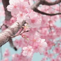 出勤しました☀