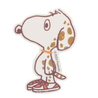 小雨