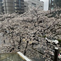 おはようございます🥱