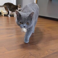 おはようございます！