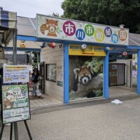 おやすみなさい