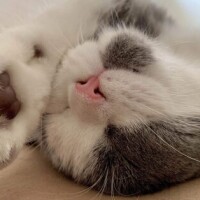 ✨おはようございます✨