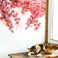 行って来ます😊