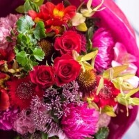 ✨🪷休日🪷✨