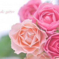 ありがとうの気持ち♡