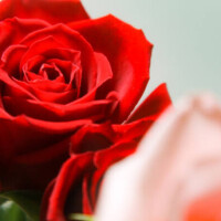 ありがとうございました❤️