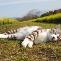 ✨おはようございます✨