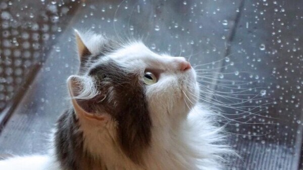 ✨雨ですね☺️