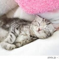 おはようございます🥱