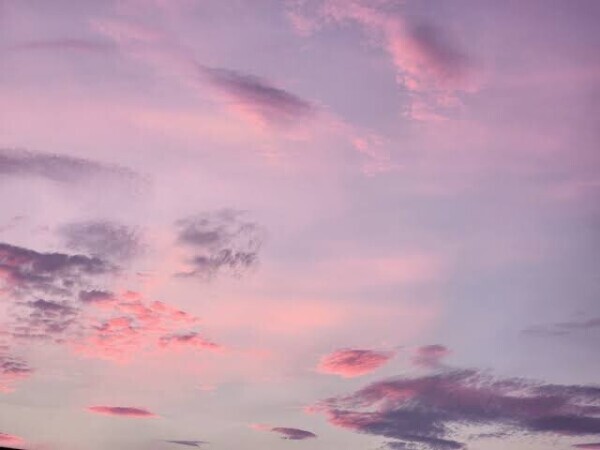 ❤︎準備中❤︎
