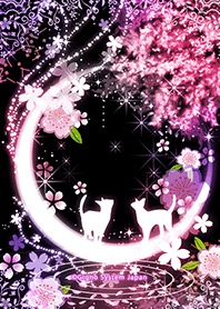 ✨本日もありがとうございました✨