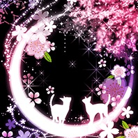 ✨本日もありがとうございました✨