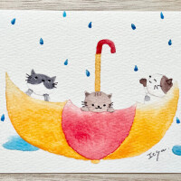 ✨おはようございます✨