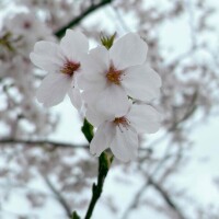 ᴳᴼᴼᴰ ᴹᴼᴿᴺᴵᴺᴳ☀︎