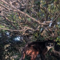 おはようございます😊