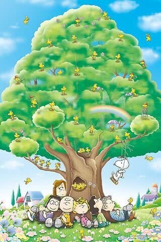 おはようございます