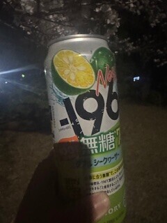 秒速5センチメートル