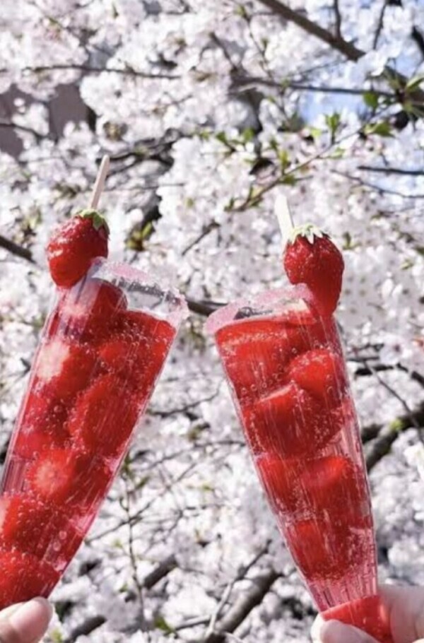 ✨🪷4月4日🪷✨