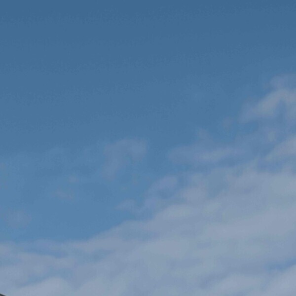 sky☀︎⋆꙳*.‎✭¨̮