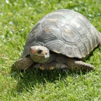 ✨出勤しました✨