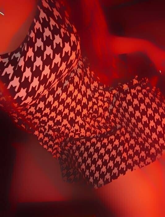 ✨🪷良いお天気ですね🪷✨