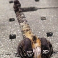 出勤しました☀