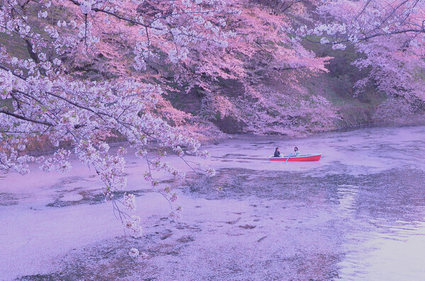 おはようございます☀️