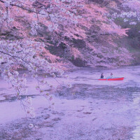 おはようございます☀️