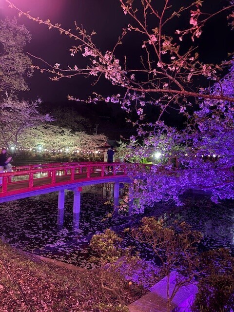 明日はお昼から🥰