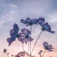 ありがとうございました🫧🎶