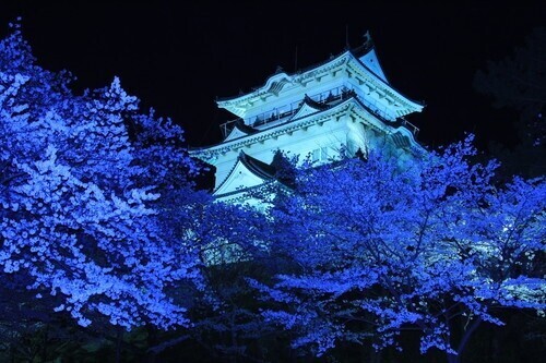 お疲れ様でした🌃