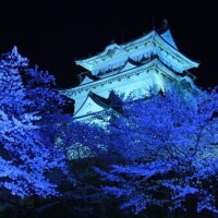 お疲れ様でした🌃