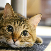 ✨おはようございます✨