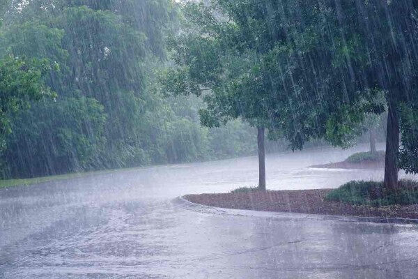 雨