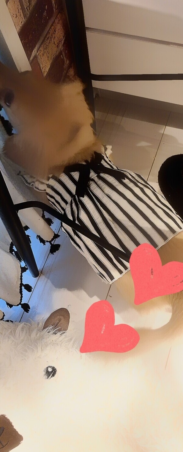 ✨🪷ラストまで🪷✨